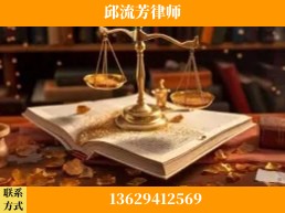乐山-委托诉讼代理人出庭